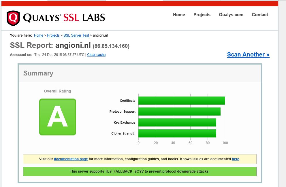 ssl_test_angioni_nl